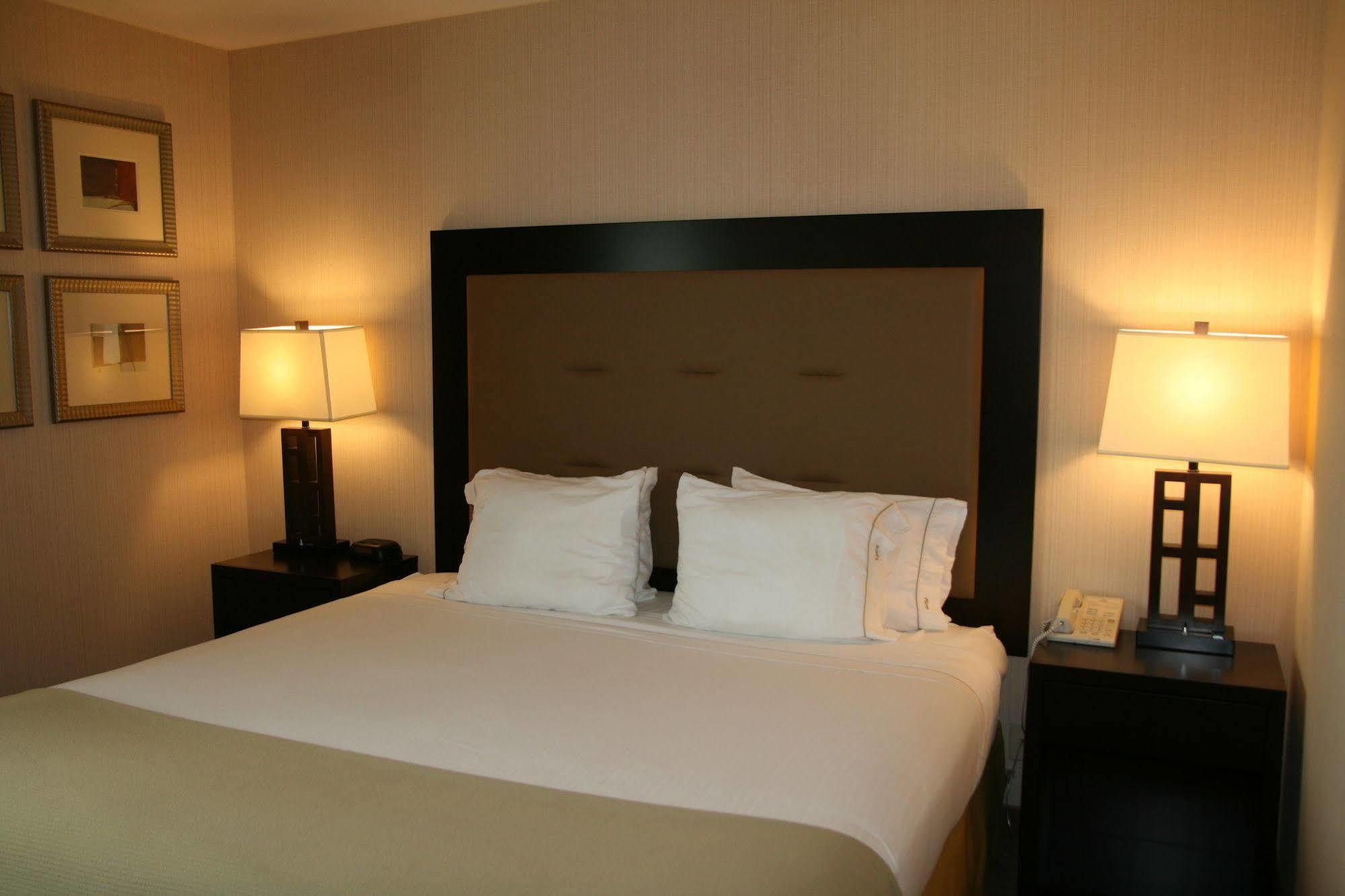 Holiday Inn Express Seattle - Sea-Tac Airport By Ihg SeaTac Ngoại thất bức ảnh